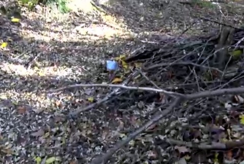 Roklina, do ktorej vyhodili v sáčku dvoch psov