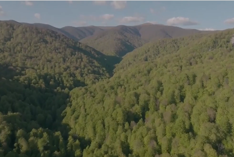 Screenshot 2024-05-05 123132