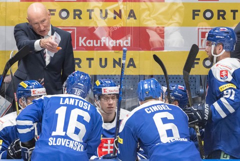 Slovensko vs Česko (3)