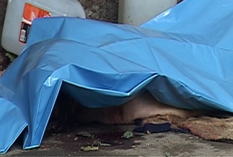 na prešovskom sídlisku našli mŕtvu ženu