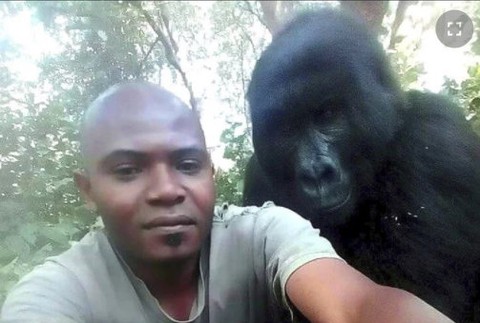 Fotografie sa stali hitom internetu. FB Virunga National Park