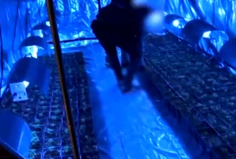 Polícia rozbila gang narkobarónov. Zaistili drogy za 30 miliónov eur