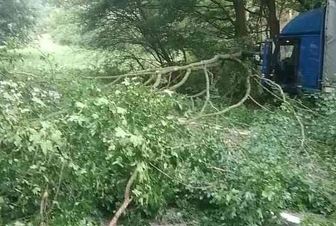 Nákladné auto narazilo do stromu 