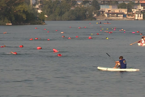 Senecké jazerá a Dunaj ožili plaveckým podujatím