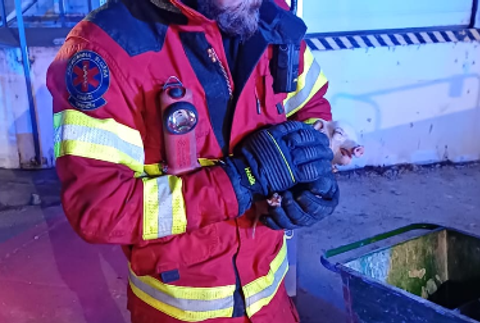 Požiar - Vištuk, záchrana zvierať