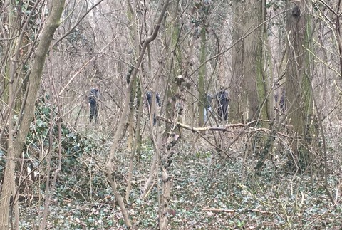 Polícia prehľadáva les vo Veľkej Mači