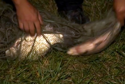 Polícia chytila pytliaka na Dunaji