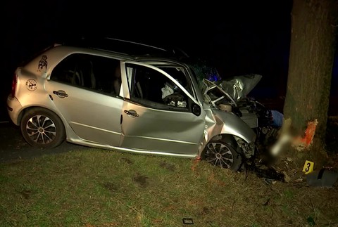 [multi] Naraz do stromu. 9206