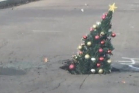 Z výtlku vyrástol stromček