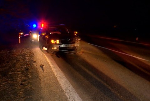 Žene skrížila cestu viac ako stokilová samica diviaka. V aute s ňou sedela aj dcéra