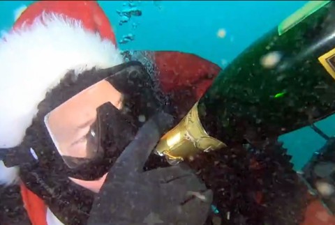 Ryby oslávia Vianoce. Podvodný svet nezostal bez stromčeka