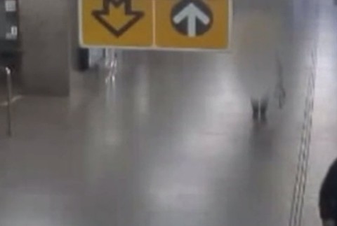 Česká polícia pátra po nebezpečnom Slovákovi