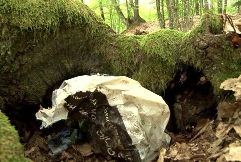 Desivý nález pri zbieraní húb. Žena našla v lese pištoľ