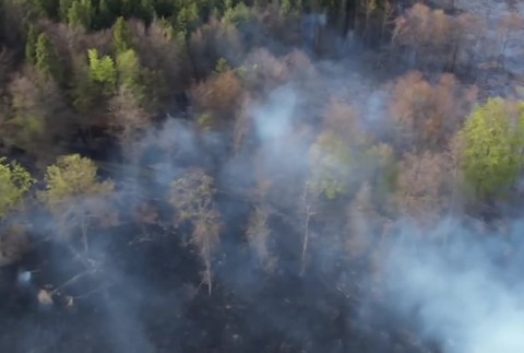 [multi] Nesluša požiar 1703