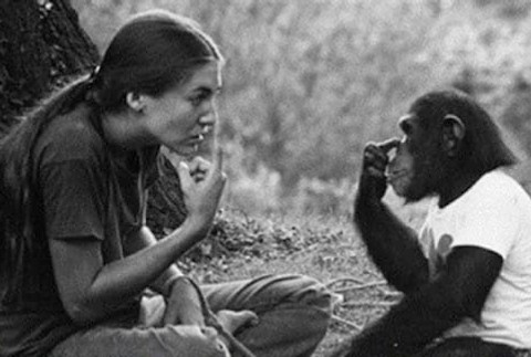 Medzi výskumníčkou Kat a Washoe vznikol priateľský vzťah. Washoe sa často pýtala tehotnej Kat na jej dieťa.