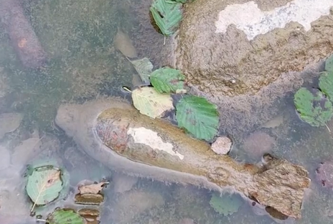 Screenshot 2024-07-28 172556