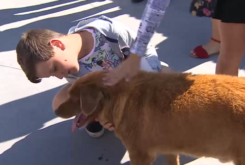 Najstarší pes na svete