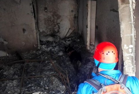 Pátranie na 12. poschodí v Prešove