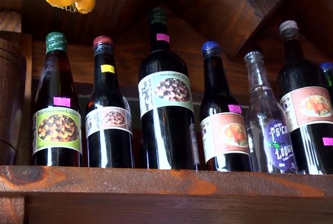 [multi] Strom kešu zaberá plochu väčšiu ako futbalové ihrisko. Láka turistov z celého sveta 2962