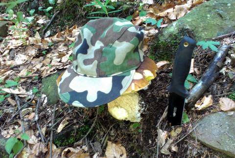 Lesný hríb huba Jakubova Voľa