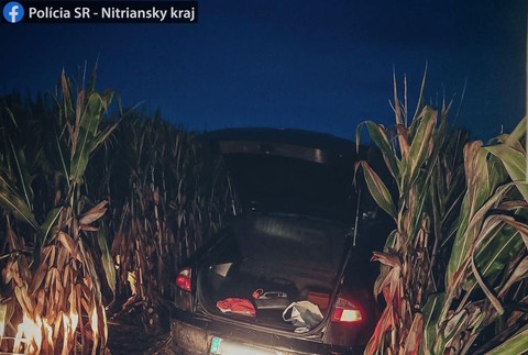 300813249_1195773867634282_6060112454414317661_n