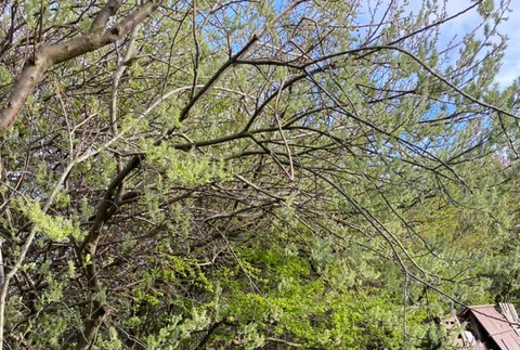 Pátranie po nezvestnom