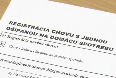 Na Slovensku prebehla veľká prasacia amnestia.