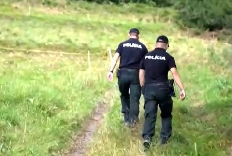 Dôchodcu zabil býk.