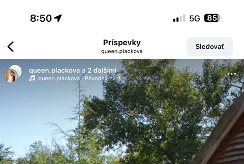Plačková, syn Dion, narodeninová oslava, luxus, dinosaurus