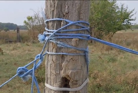 Majiteľ nezabezpečil ohradenie priestoru.