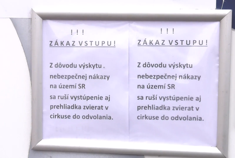 majitel cirkusu karantena