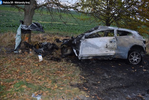 pravdepodobne nevládol riadenia 