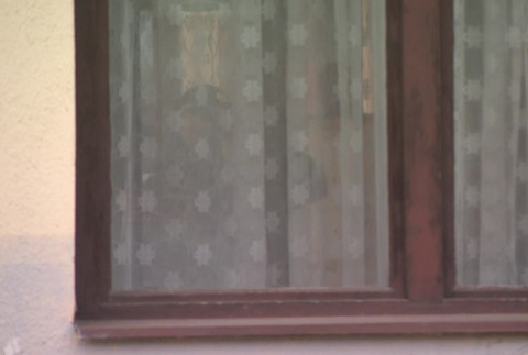 [multi] 040824CAW 2625