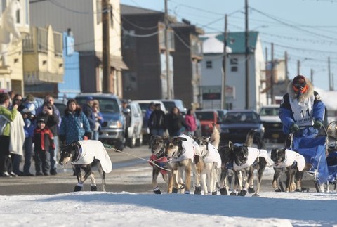 Iditarod 2011