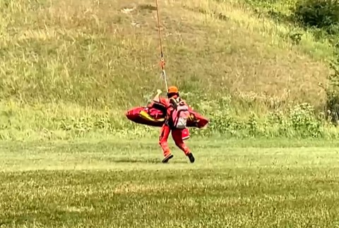 Zber marhúľ sa pre Štefana skončil nešťastne.