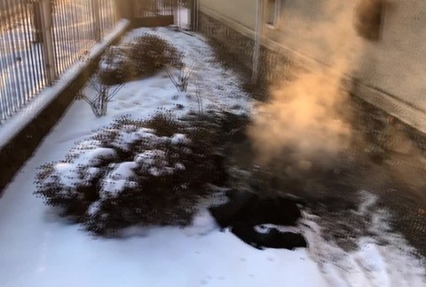 [multi] KN Priotrávená babka 8367