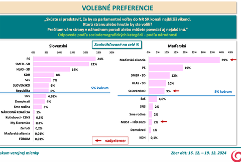 Snímka obrazovky 2024-12-22 o 3.43.45