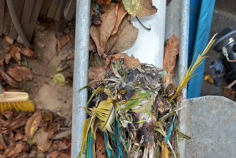 406050295_741020084730229_6890373110110795749_n