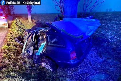Tragická nehoda na mokrej ceste. Spolujazdec neprežil náraz do stromu