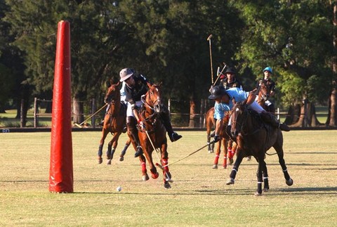 konske polo, J&T gol