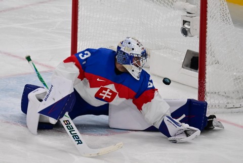 20261402_zoh_slovensko_svedsko_25193780