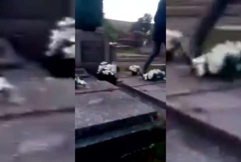 [multi] Vandal na cintoríne 1885