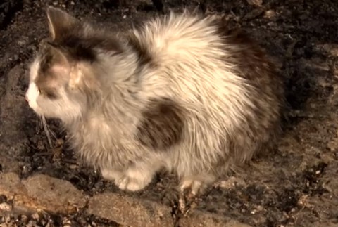 Pred rokmi zažil, čo je to núdza. Dnes prichýlil matku s dcérou, ktorým zhorel dom