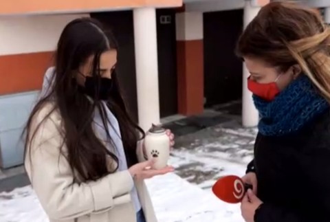 Viacero psov v Žiline zomrelo na následky otravy.