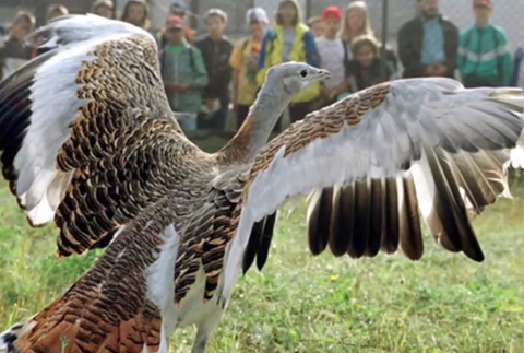 Centrum pre zmenu klímy