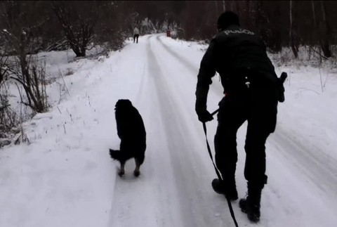 [multi] Streľba na "čiare" 2658