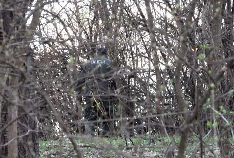 [multi] Potvrdená totožnosť pozostatkov 1516