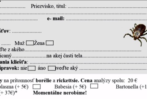 Pri akej teplote už v lese nestretnete kliešťa? Odborník radí
