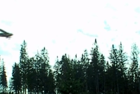 Lesy SR plánujú letecký postrek proti motýľom. Nebezpečný môže byť aj pre ľudí