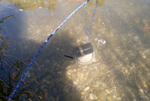 Polícia našla v petržalskom Chorvátskom ramene funkčný granát